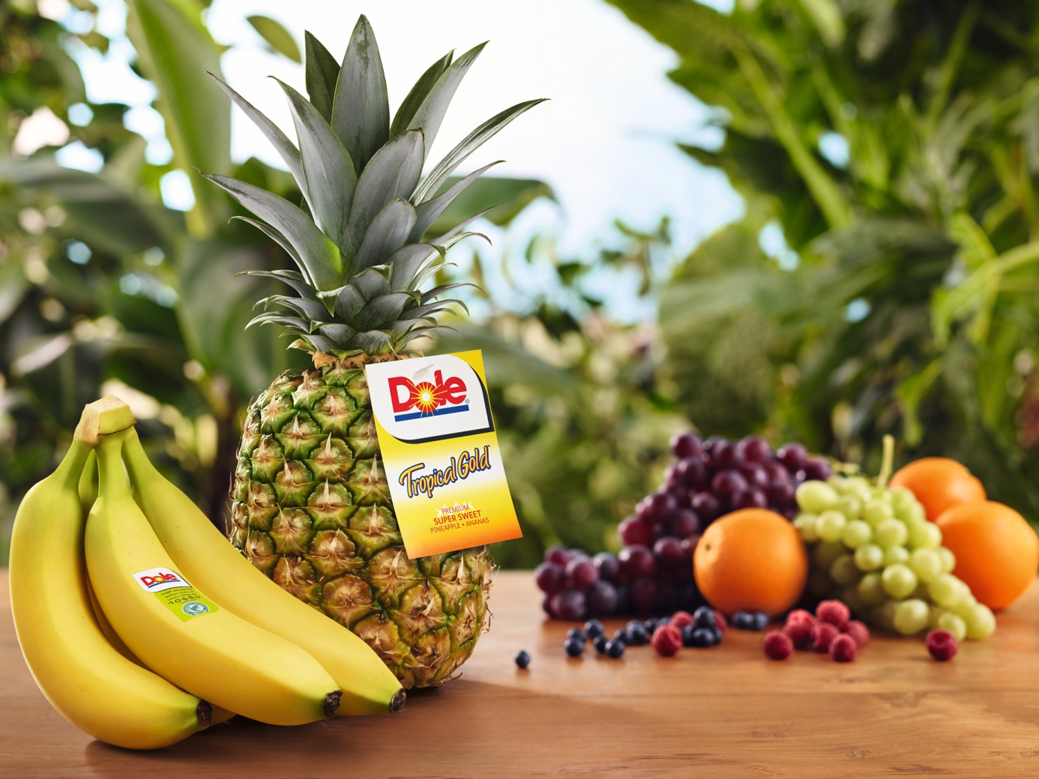 Dole Tropical Products Latin America Ltd